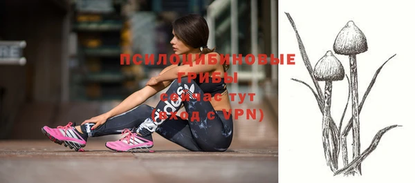 стаф Волоколамск