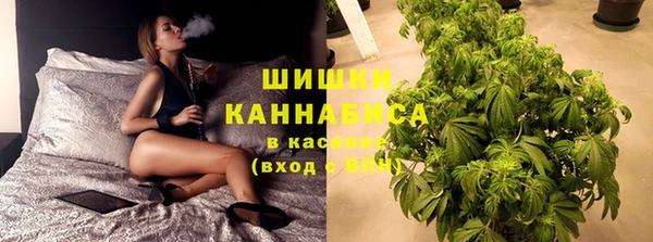 стаф Волоколамск