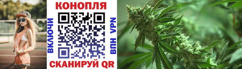 Марихуана семена  Купить где  Ветлуга 